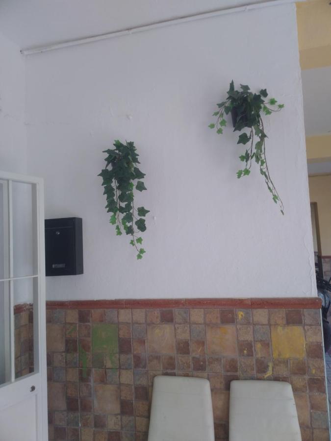 Precioso Apartamento Moderno Cerca Del Carrefour Rosaleda Málaga Buitenkant foto